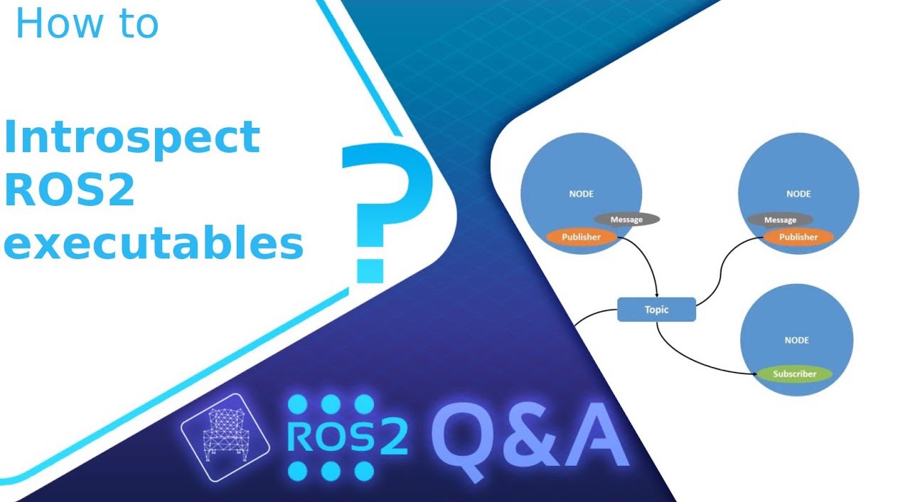 How to introspect ROS 2 executables